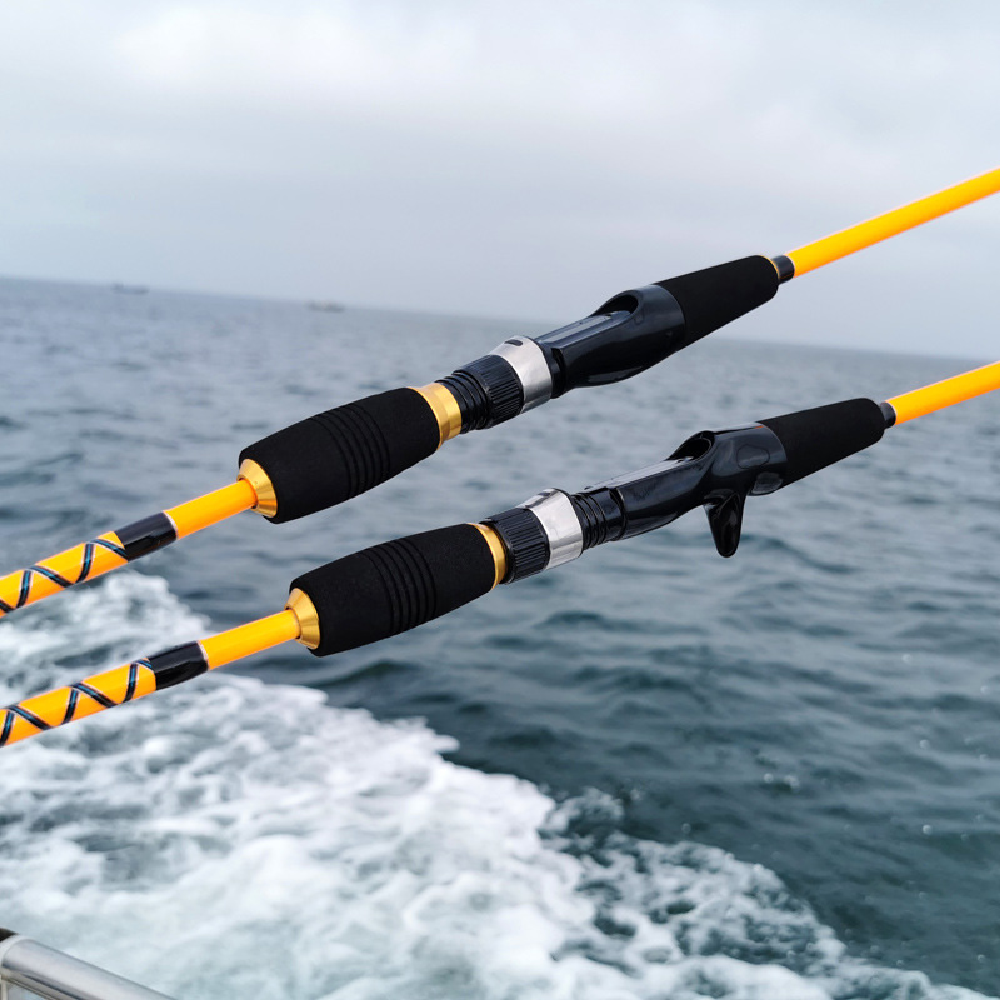 Professional Sea Boat Fishing  - Fishing Rod Surf avis et prix