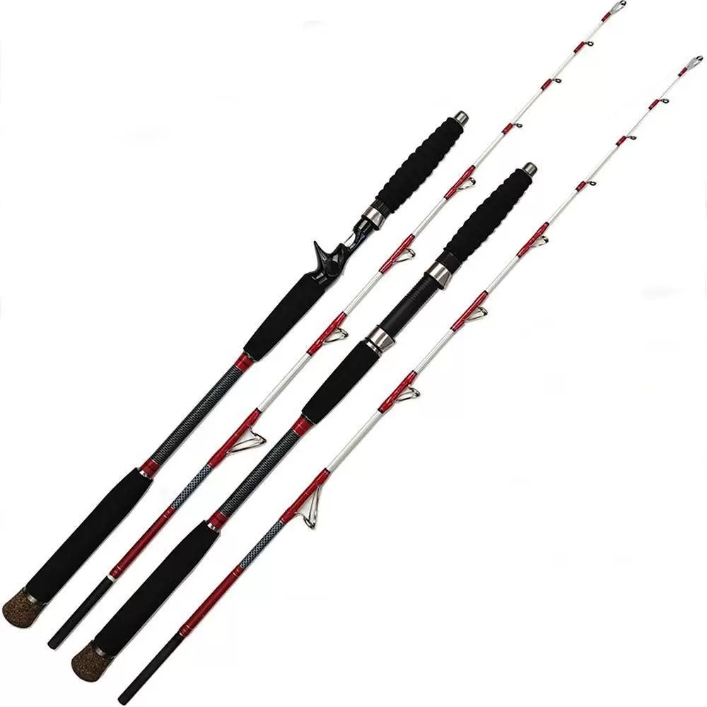 1.6M Saltwater Offshore 100-30 - Fishing Rod Surf avis et prix