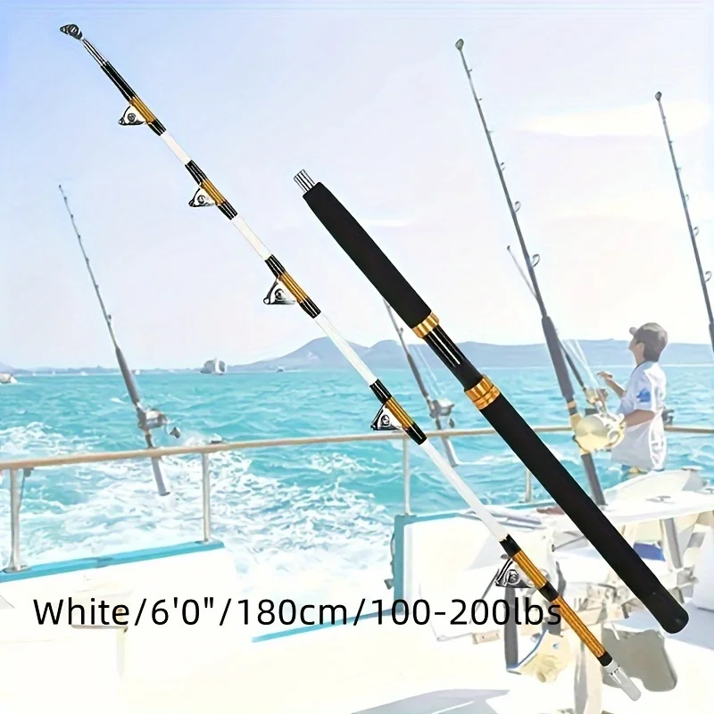 KEEHOME Trolling Rod 2-Section - Fishing Rod Carbon Fiber avis et prix